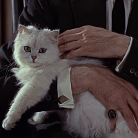 Blofeld's Persian Cat