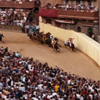Palio di Siena Horse Race